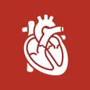 Cardiovascular